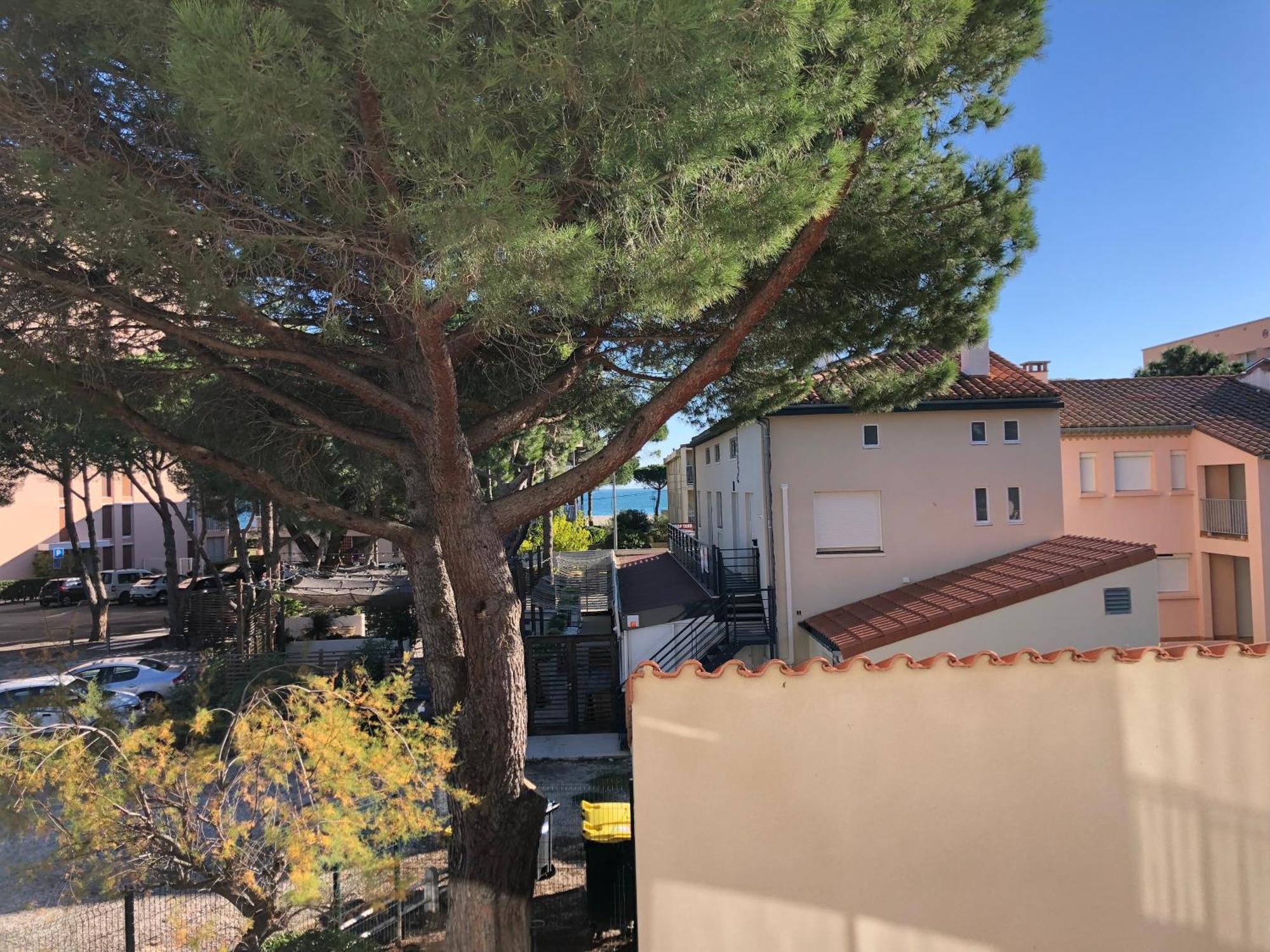 F3 Classe Meuble Tourisme "Gites De France" A 80 Metres De La Plage Argelès-sur-Mer Exterior foto