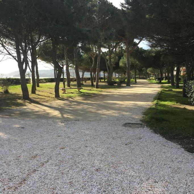F3 Classe Meuble Tourisme "Gites De France" A 80 Metres De La Plage Argelès-sur-Mer Exterior foto